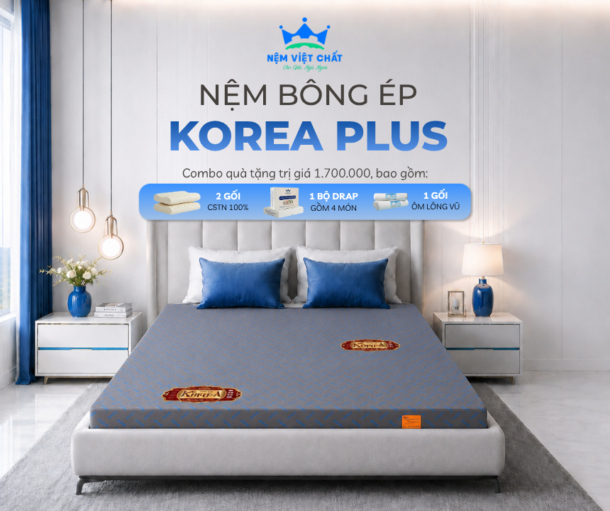 Nệm Bông ép Korea Plus