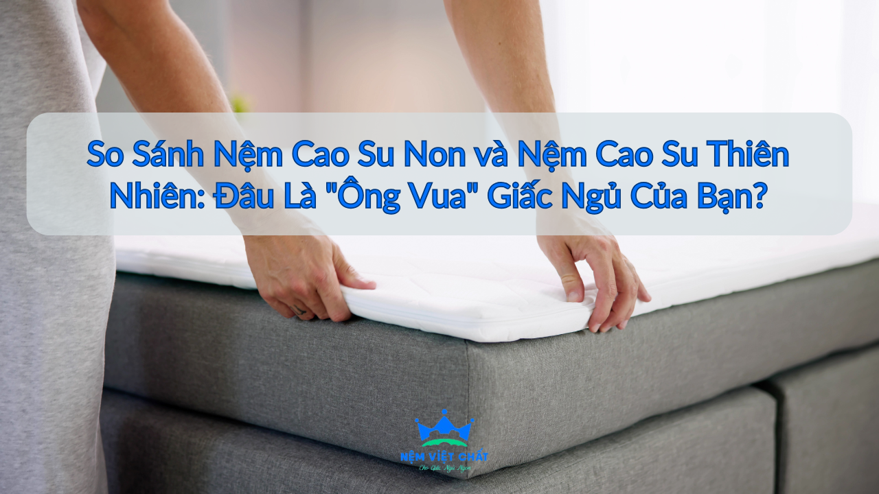 So Sánh Nệm Cao Su Non và Nệm Cao Su Thiên Nhiên: Đâu Là "Ông Vua" Giấc Ngủ Của Bạn? Phân Tích Chuyên Sâu
